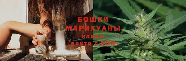 ПСИЛОЦИБИНОВЫЕ ГРИБЫ Сафоново